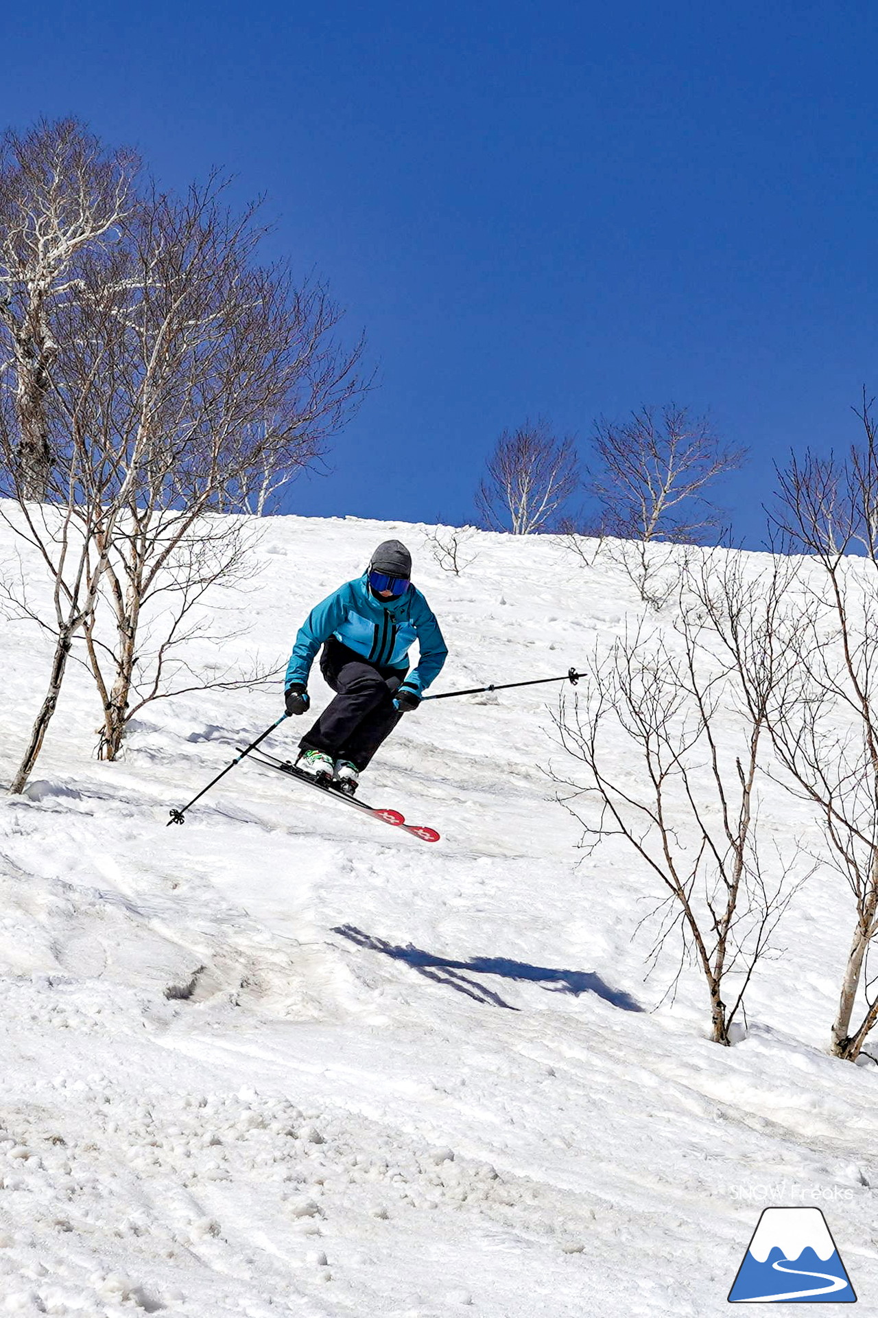 ニセコグラン・ヒラフ DYNASTAR SKI TEST RIDE DAYS Photo Session!!最高の天気に恵まれたニセコに、最高の仲間たちが集まりました☆